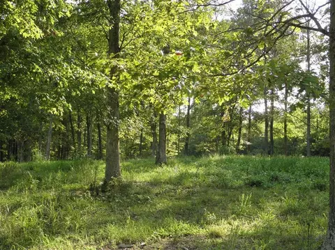 1296 Flatwoods Rd, Corbin, KY 40701 photo 8