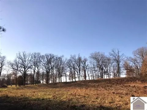 000 Sand Lick Rd, Murray, KY 42071 photo 1