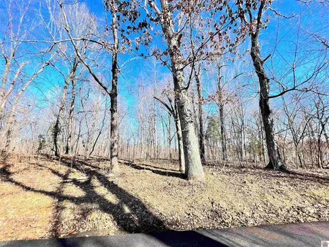 lot S 51 52 Lisanby Rd, Eddyville, KY 42038