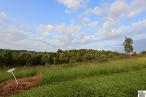 lot10 Rose Ln, Eddyville, KY 42038