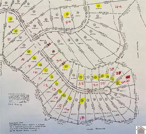 lot12 Rose Ln, Eddyville, KY 42038