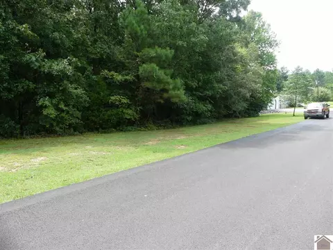 655 Wildcat Dr, Murray, KY 42071 photo 7