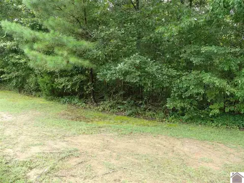 655 Wildcat Dr, Murray, KY 42071 photo 5