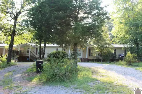 115 Lowes Rd, Cunningham, KY 42035 photo 1