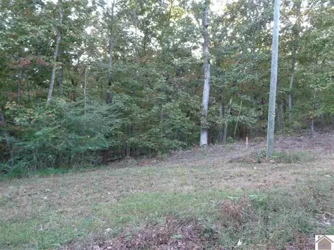 00 Anna Maria Dr, New Concord, KY 42076