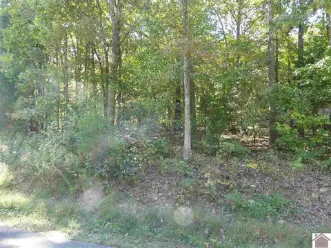 359 Waterway Trail 119, New Concord, KY 42076