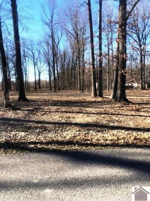1801 Debby Dr, Paducah, KY 42003