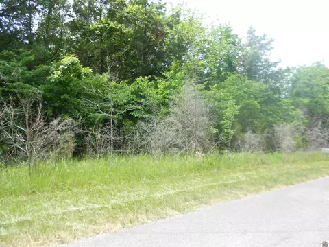 Forest Circle, Cadiz, KY 42211