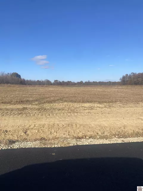lot17 Ayly Estates Dr, Mayfield, KY 42066