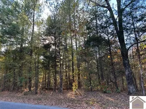 00 Paddle Ln, New Concord, KY 42076