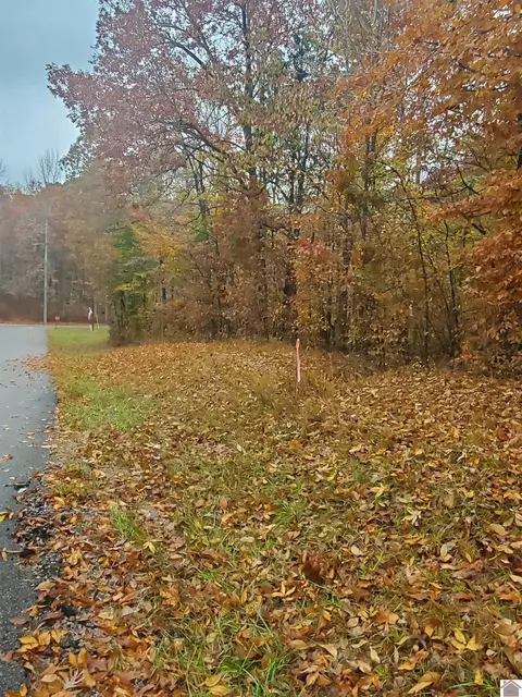 lot352 352d Whitley Way, Eddyville, KY 42038