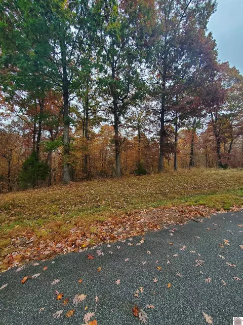 lot355 355d Whitley Way, Eddyville, KY 42038
