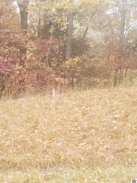 lot357 357d Whitley Way, Eddyville, KY 42038