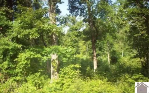 00 Shannon Creek Rd, New Concord, KY 42076