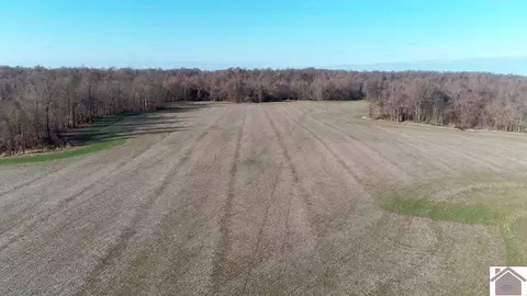 0 County Road 1220, Bardwell, KY 42023