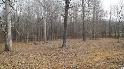 000 Fern Creek Ln, Benton, KY 42025