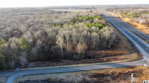 Palestine Church Road, Dexter, KY 42036