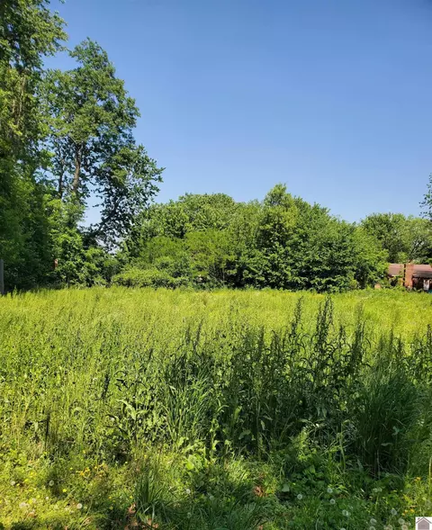 0 Hickory St, La Center, KY 42056