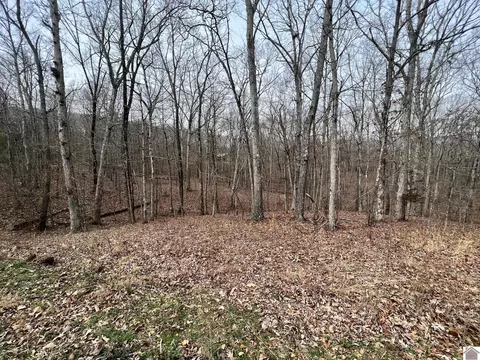 00 Tearose Drive 810-812, New Concord, KY 42076