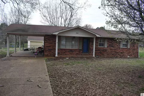 264 Blankenship Rd, Ledbetter, KY 42058