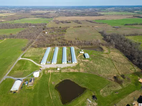00 Waggoner, Wingo, KY 42088