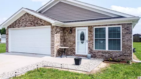 133 Braxton, Ledbetter, KY 42058 photo 1