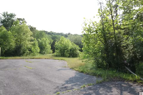 00 Melanie Ln, Gilbertsville, KY 42044