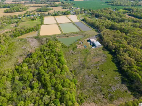 11525 State Route 97, Farmington, KY 42040