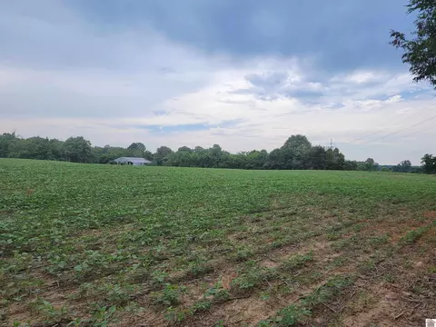 Tract B State Route 818, Princeton, KY 42445