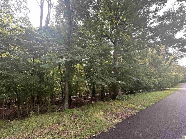 1 Chicadee, Eddyville, KY 42038