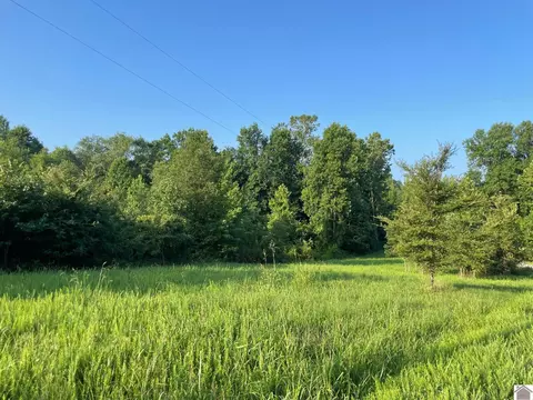 000 Saddle Ln, New Concord, KY 42076