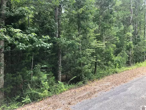 lot9091 Baywood Vista Dr, Murray, KY 42071