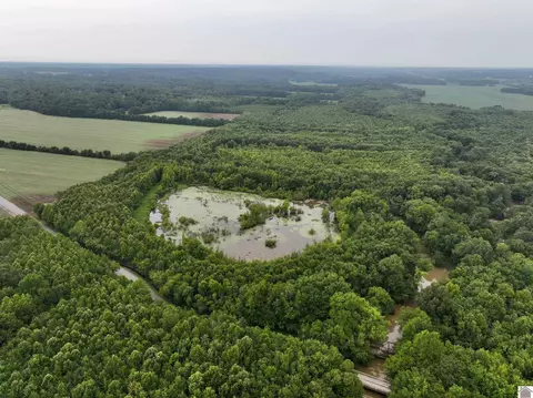 000 Dogtown Rd, Benton, KY 42025