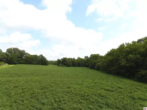 3276 State Route 121, Mayfield, KY 42066