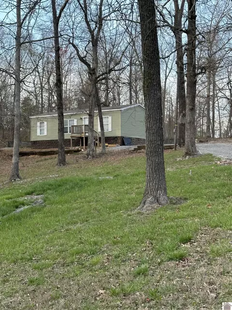 215 White Dove Ln, Gilbertsville, KY 42044