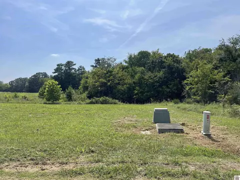 Waterfowl Road, Murray, KY 42071