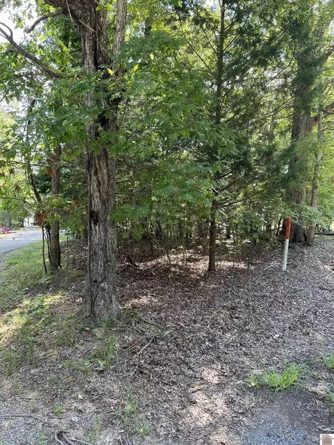 lot17 Edgewater, Benton, KY 42025