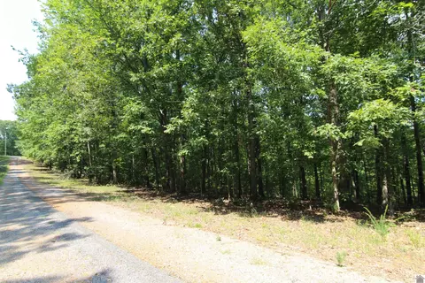 lot1 Baywood Ln, New Concord, KY 42076