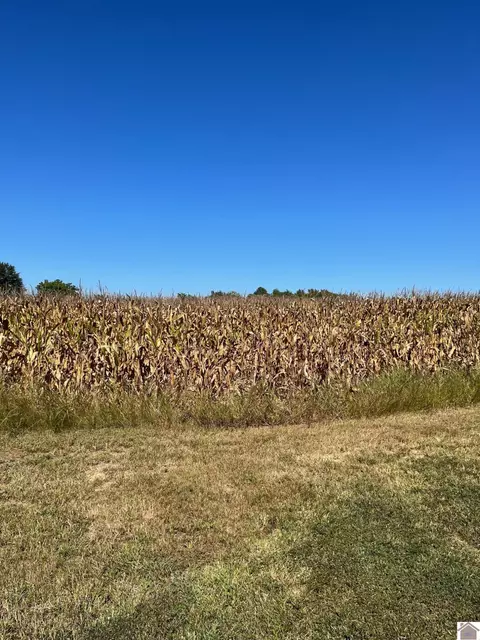 0 Flint Rd, Murray, KY 42071