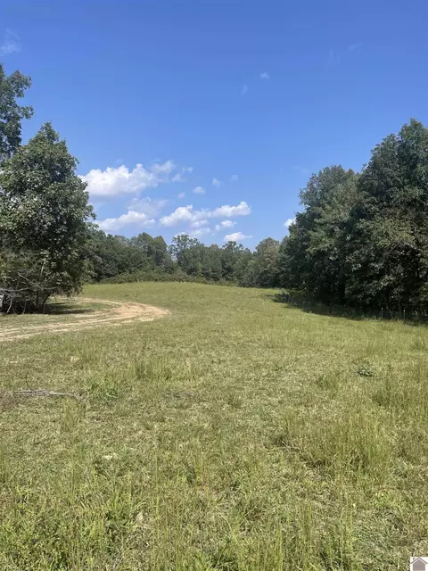 0 State Route 1748, Wingo, KY 42088