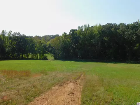 16308 E Us Hwy 68, Hardin, KY 42048