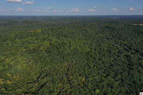 0 Herring Mill Rd, Elkton, KY 42220
