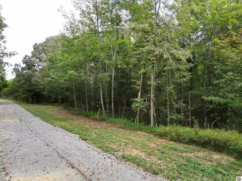 0 Odom Rd, Eddyville, KY 42038