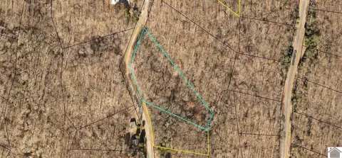 lot69 70 Bayside Ln, New Concord, KY 42076