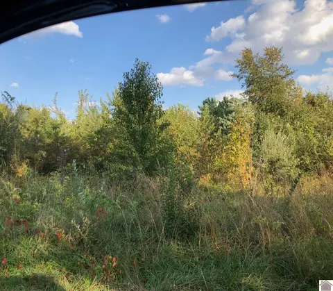 lot11 Chris Dr, Mayfield, KY 42066