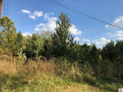 lot41 Chris Dr, Mayfield, KY 42066