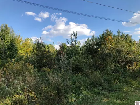 lot42 Chris Dr, Mayfield, KY 42066