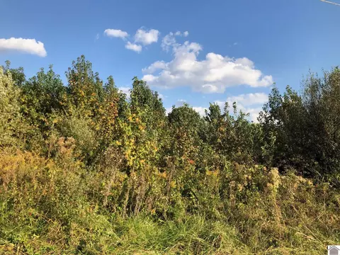 lot43 Chris Dr, Mayfield, KY 42066