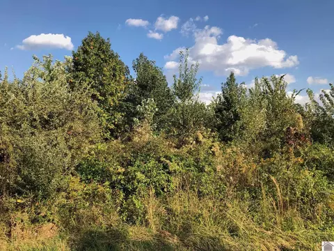 lot44 Chris Dr, Mayfield, KY 42066