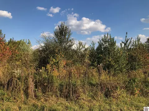 lot45 Chris Dr, Mayfield, KY 42066